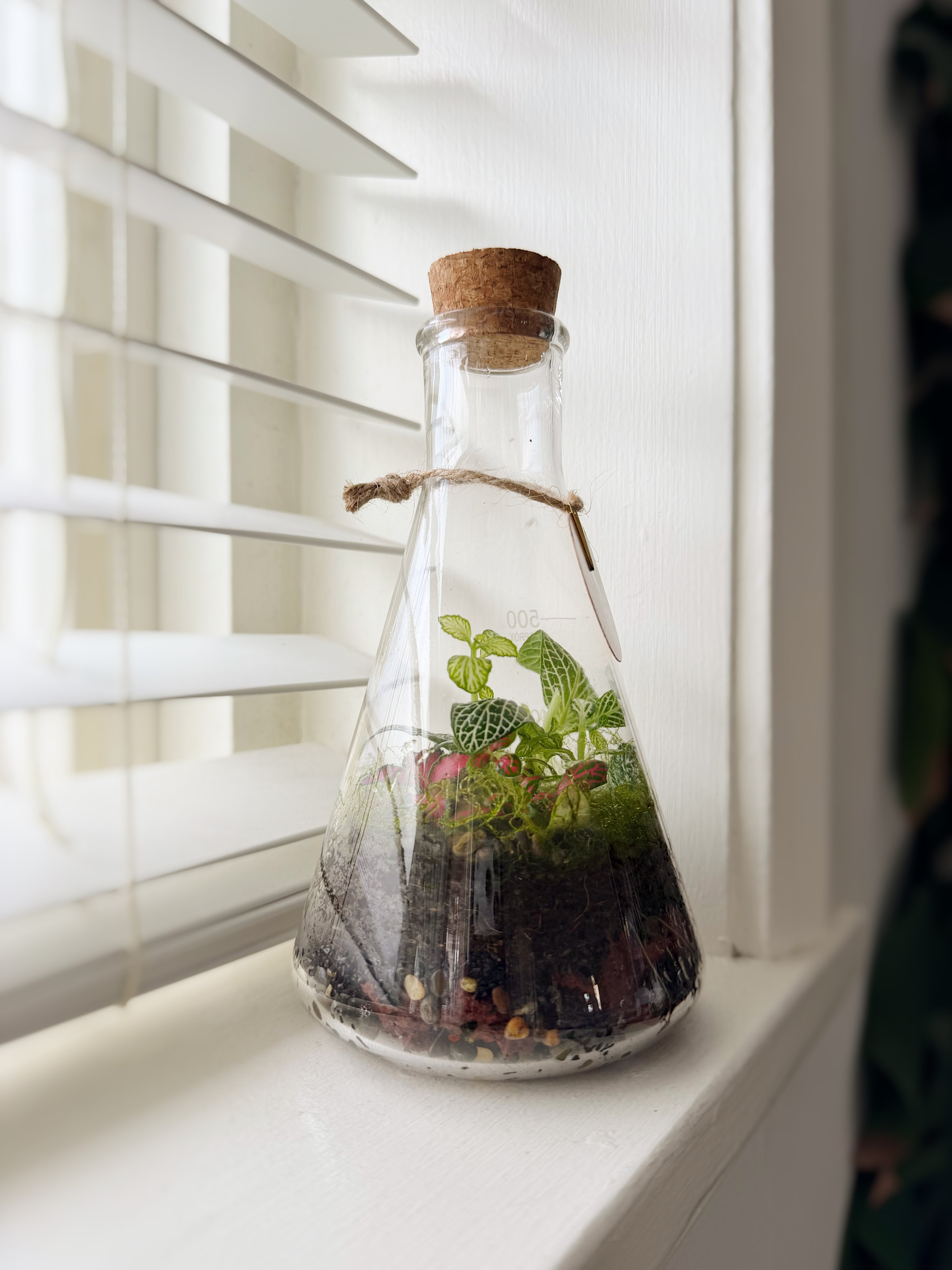 Koni 1000ml, 500ml and 250ml