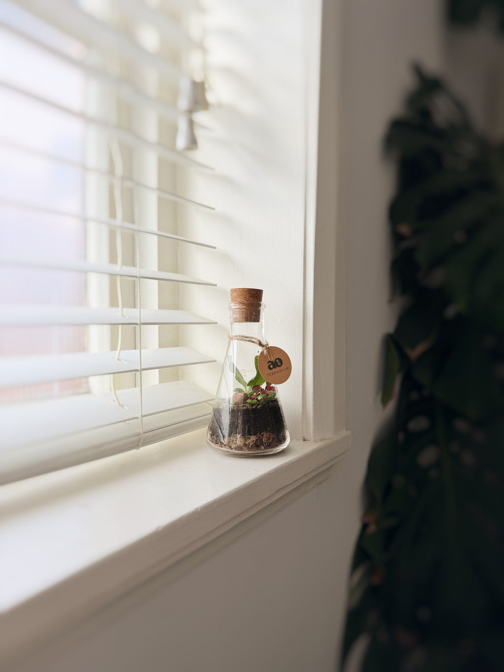 Koni 1000ml, 500ml and 250ml