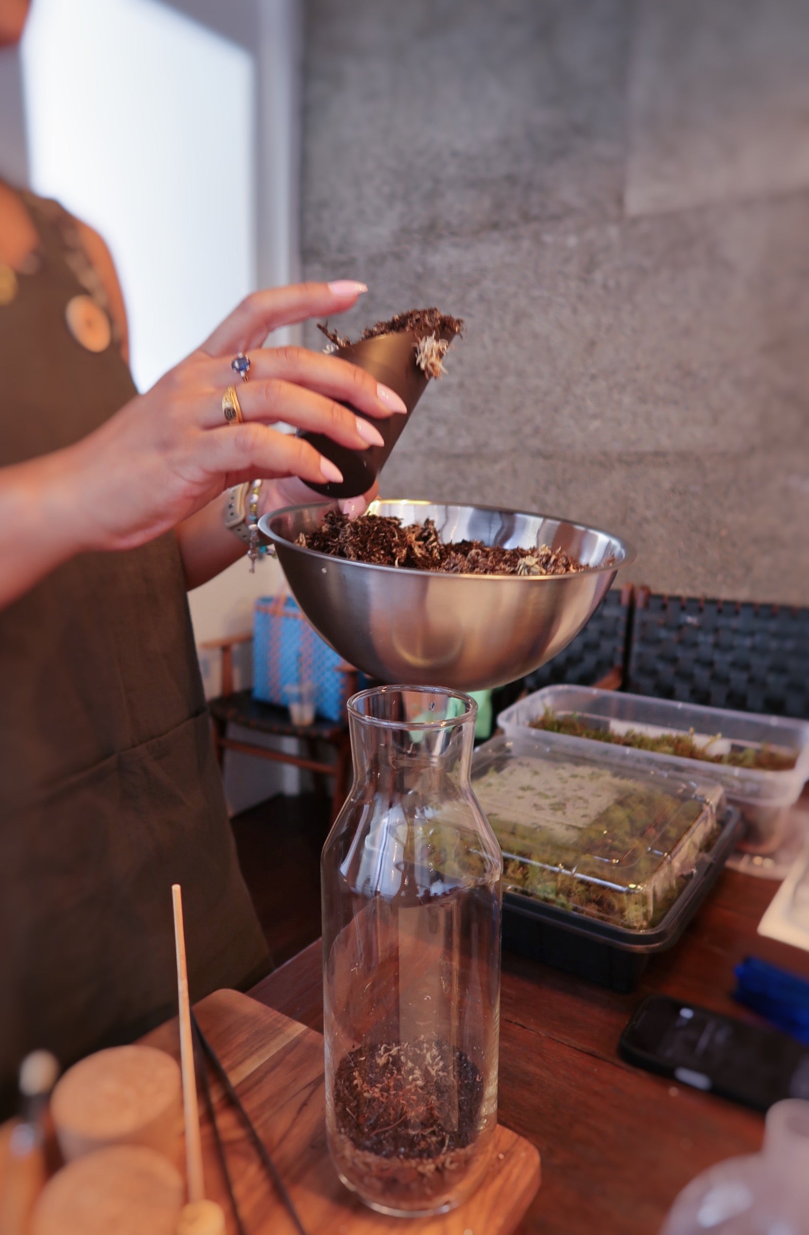 Terrarium Workshop, Saturday 21st Feb 11am - 12.30pm