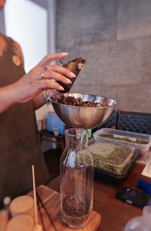 Terrarium Workshop, Saturday 21st Feb 11am - 12.30pm