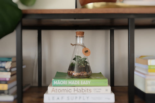 Koni 1000ml, 500ml and 250ml