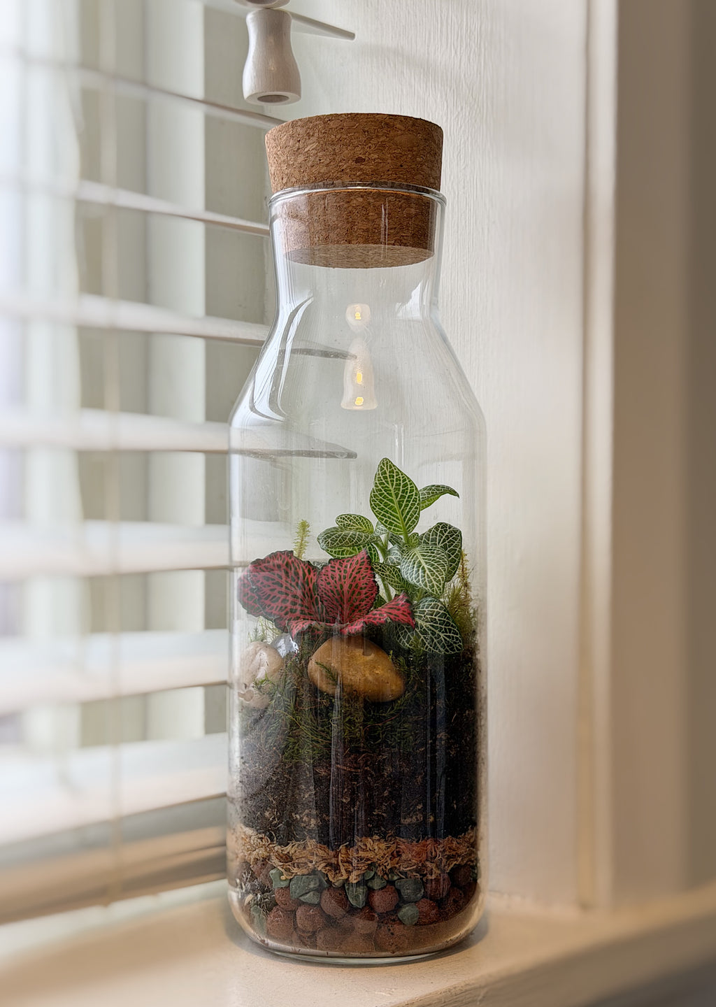 Terrarium Workshop, Saturday 21st Feb 11am - 12.30pm