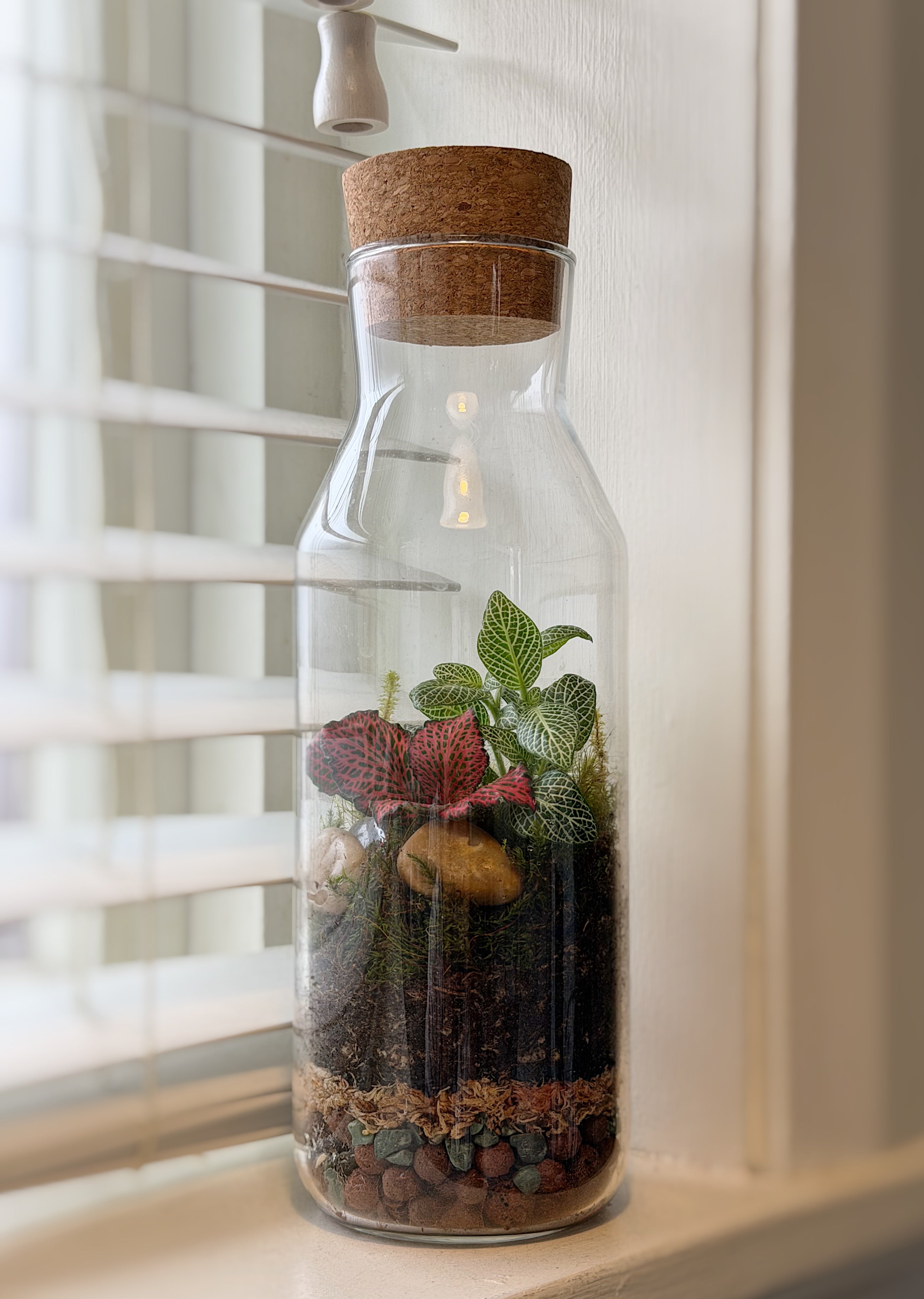 Terrarium Workshop, Saturday 21st Feb 11am - 12.30pm