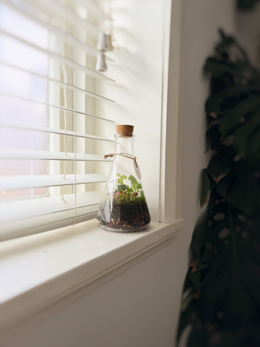 Koni 1000ml, 500ml and 250ml