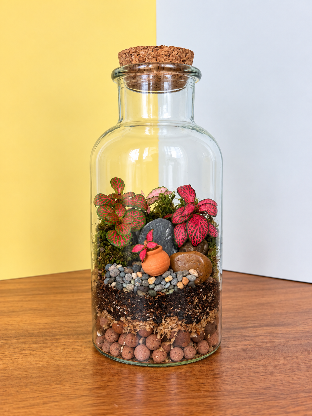 Abandoned Garden Terrarium
