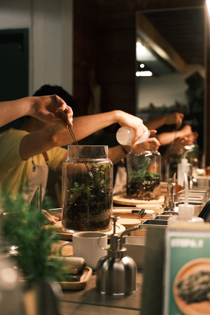 Terrarium Workshop, Saturday 13th Dec 11am - 12.30pm