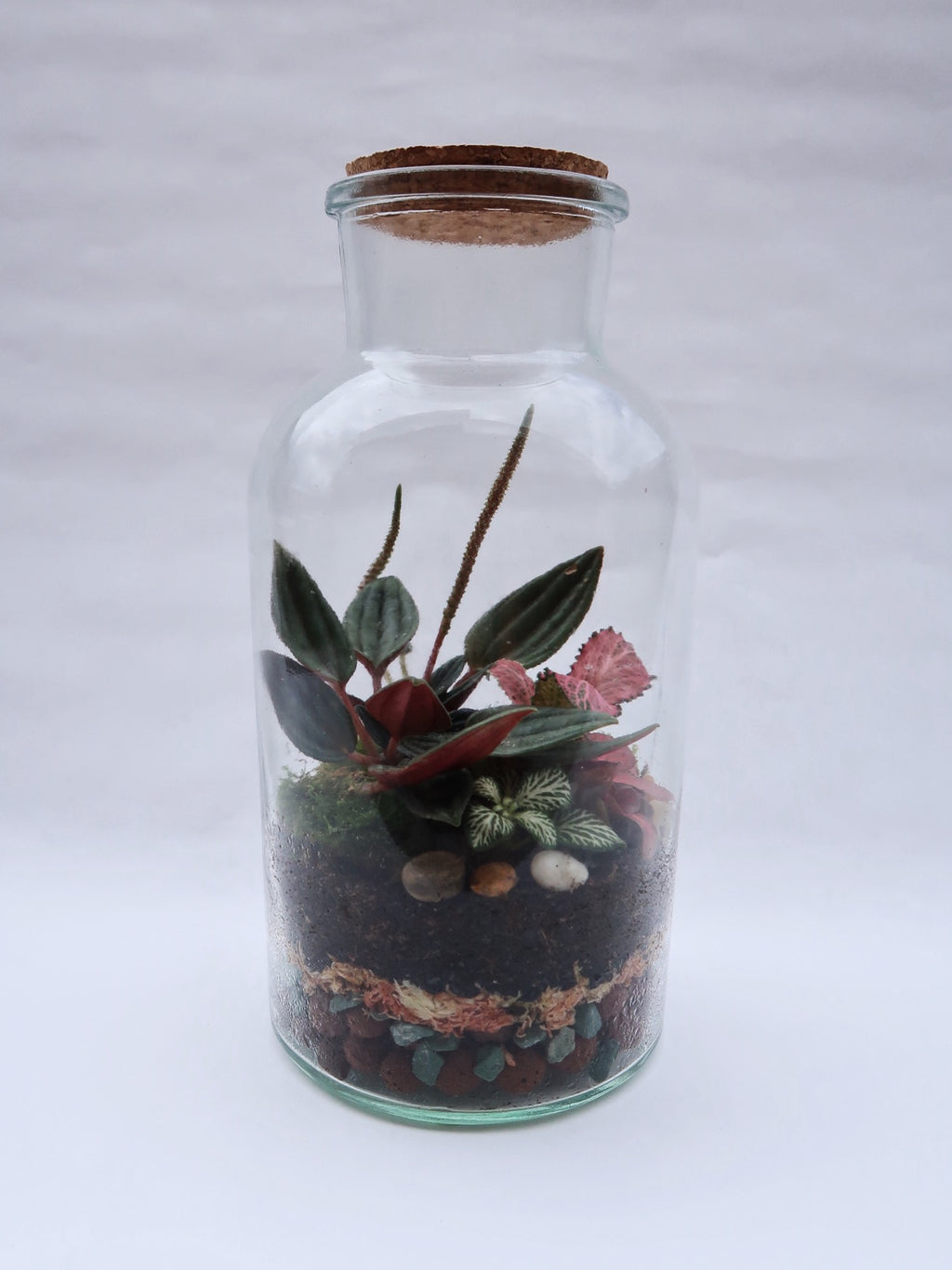 Terrarium Workshop, Saturday 13th Dec 11am - 12.30pm