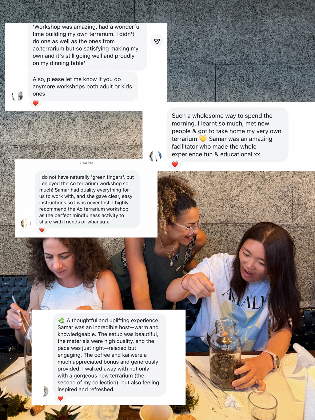 Terrarium Building Workshop